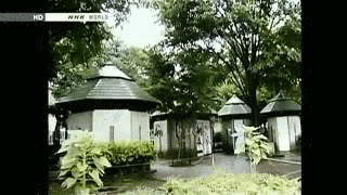 BEGIN JAPANOLOGYの画像