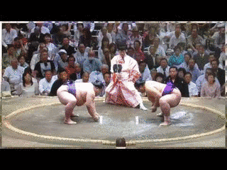 大相撲・幕内の全取組の画像