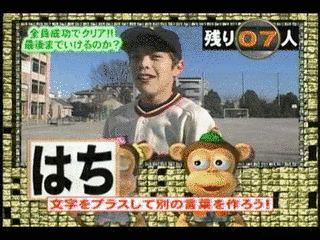 サルヂエの画像