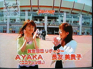黄金鷲団の画像