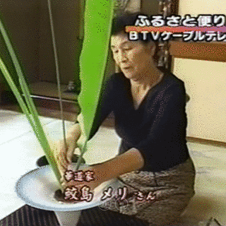 さきどり!情報かごしまの画像