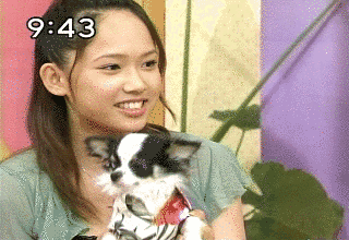 上海ルーキーSHOWの画像
