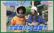 トコトンハテナの画像