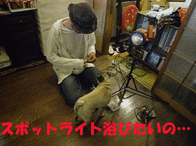 彼女の部屋Rの画像