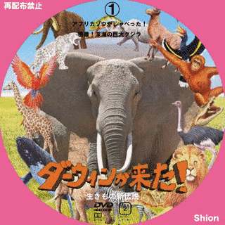 ダーウィンが来た! 〜生きもの新伝説〜の画像