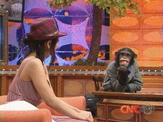 CHIMPAN NEWS CHANNELの画像