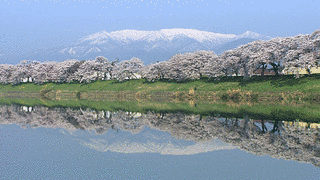 杜の旅行社の画像