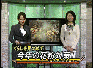 おおいたホットニュースの画像