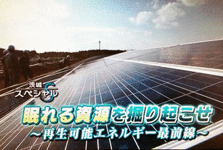 茨城スペシャルの画像