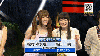 双方向クイズ にっぽん力の画像