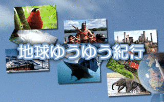 地球ゆうゆう紀行の画像