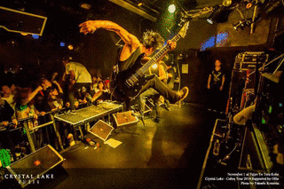 虎LIVE!の画像