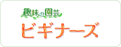 趣味の園芸ビギナーズの画像