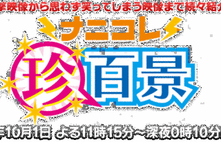 ナニコレ珍百景の画像