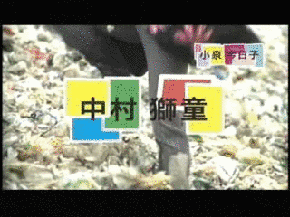 ネオコラ!東京環境会議の画像