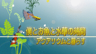 僕とお魚と水草の時間〜アクアリウムと暮らす〜の画像