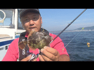 いつでも釣り気分!の画像