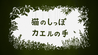猫のしっぽ カエルの手の画像