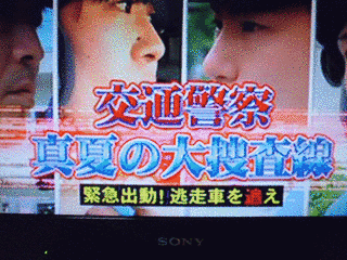 交通警察 真夏の大捜査線の画像