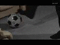 証言ドキュメント 日本サッカーの50年の画像