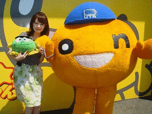 アヤコレ!の画像
