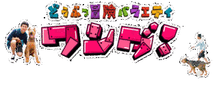 〜どうぶつ冒険バラエティ〜ワンダ!の画像