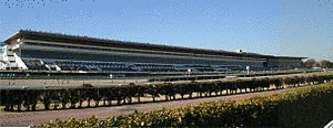 LIVE&REPORT 中央競馬中継の画像