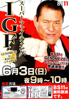 スーパーファイティングIGFの画像