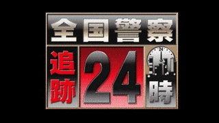 全国警察追跡24時の画像