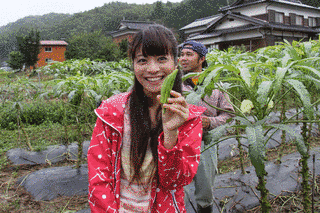 ぐるっと食の旅 キッチンがゆくの画像