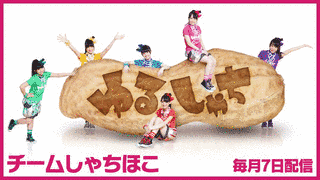 ゆるしゃちの画像