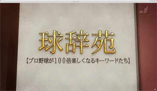 球辞苑の画像