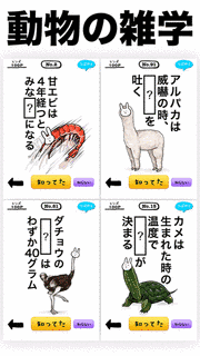 答えは動物が知っているの画像