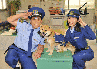 さんすう犬ワンの画像