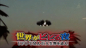 世界がビビる夜の画像