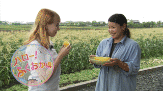 ハロー!ふくおか県の画像