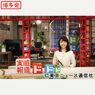なるほど 実感報道ドドド!の画像