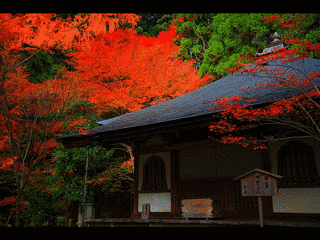 高山寺の画像