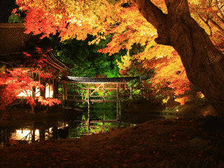 高台寺の画像
