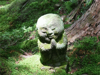 三千院の画像