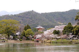 真言宗大覚寺派の画像