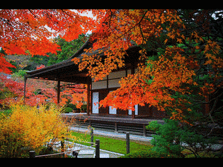 天授庵の画像