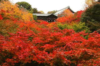 東福寺の画像