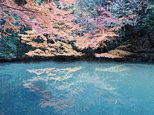 紅葉谷の画像