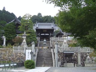 楊谷寺の画像