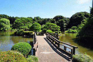 新宿御苑の画像