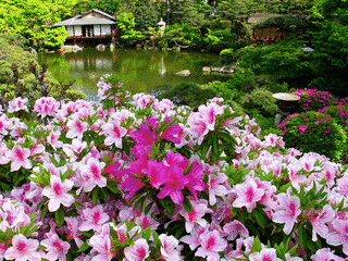 日本庭園の画像
