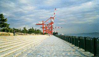 青海南ふ頭公園の画像