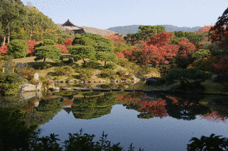 依水園の画像