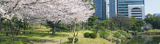 旧芝離宮恩賜庭園の画像